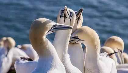 普洱2026年最新北京商务伴游经纪招聘渠道分享(最方便真实的普洱北京爱特博旅运服务有限责任公司招聘方法)