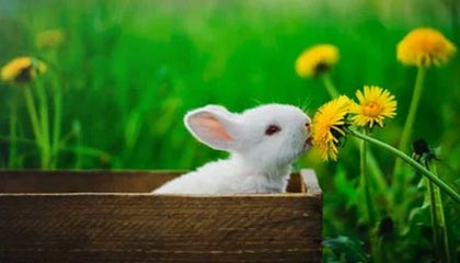 普洱2026年最新北京商务伴游经纪招聘渠道分享(最方便真实的普洱北京爱特博旅运服务有限责任公司招聘方法)